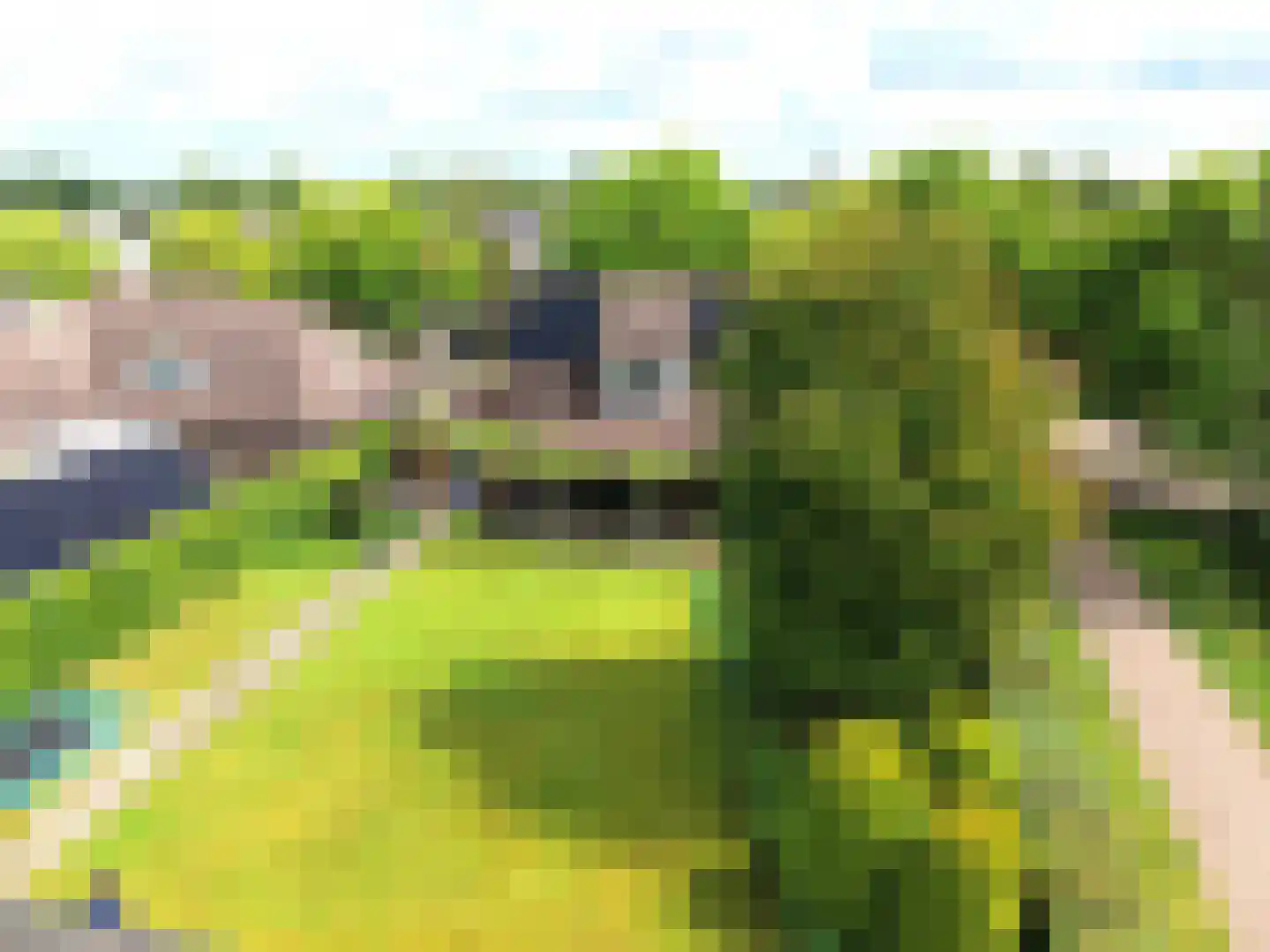 de Oldenoord 27 Zelhem thumbnail 39