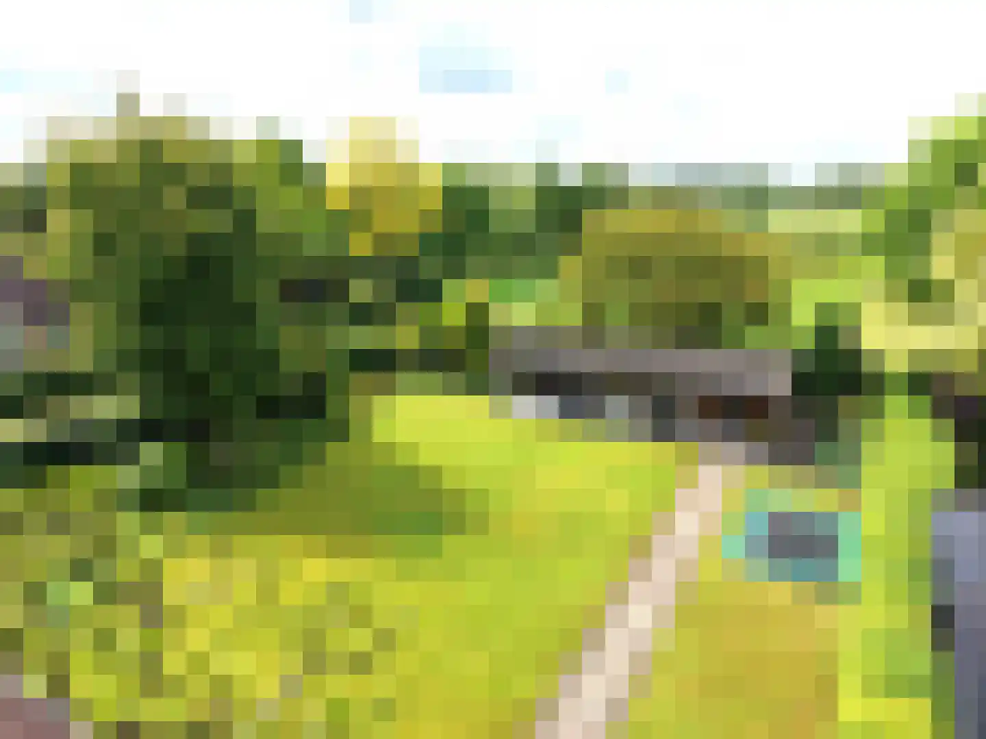 de Oldenoord 27 Zelhem thumbnail 41