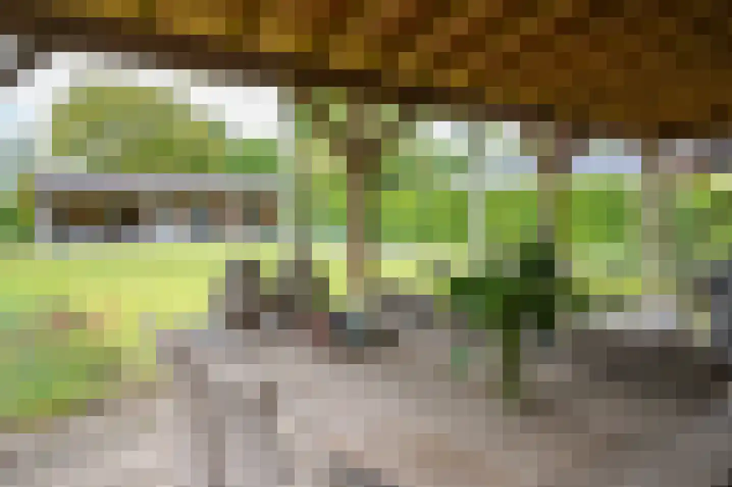de Oldenoord 27 Zelhem thumbnail 51