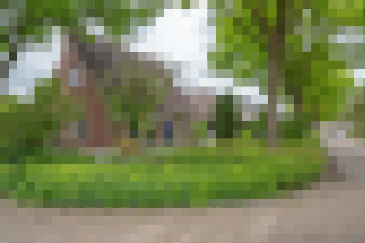 de Oldenoord 27 Zelhem thumbnail 6