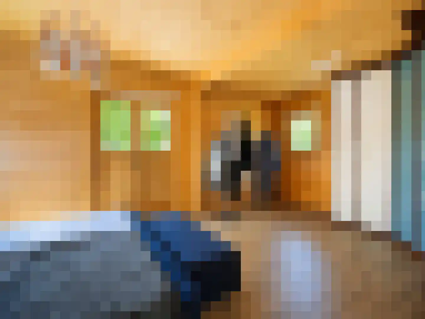 de Oliepot 7 11 Rucphen thumbnail 13