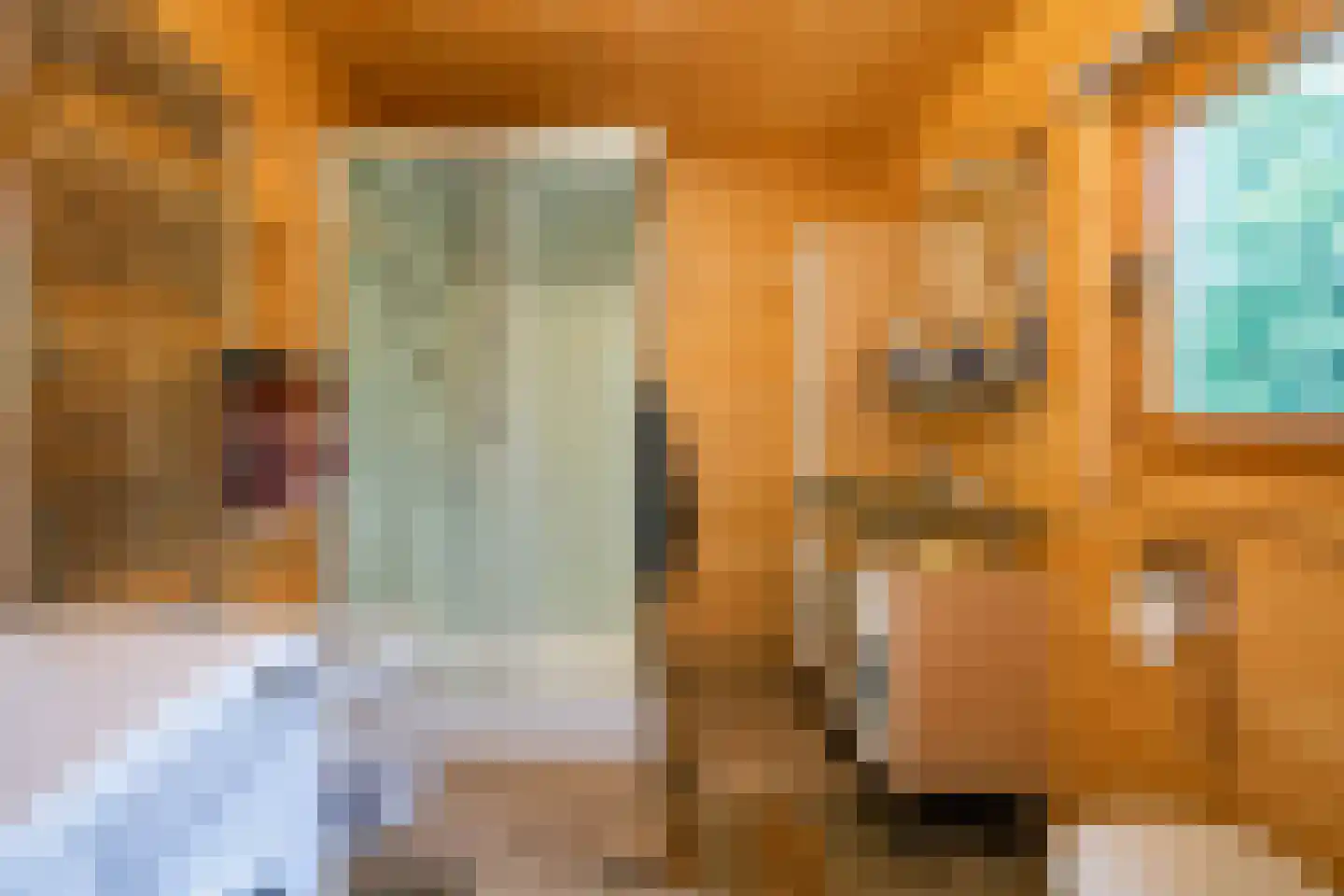 de Oliepot 7 11 Rucphen thumbnail 18