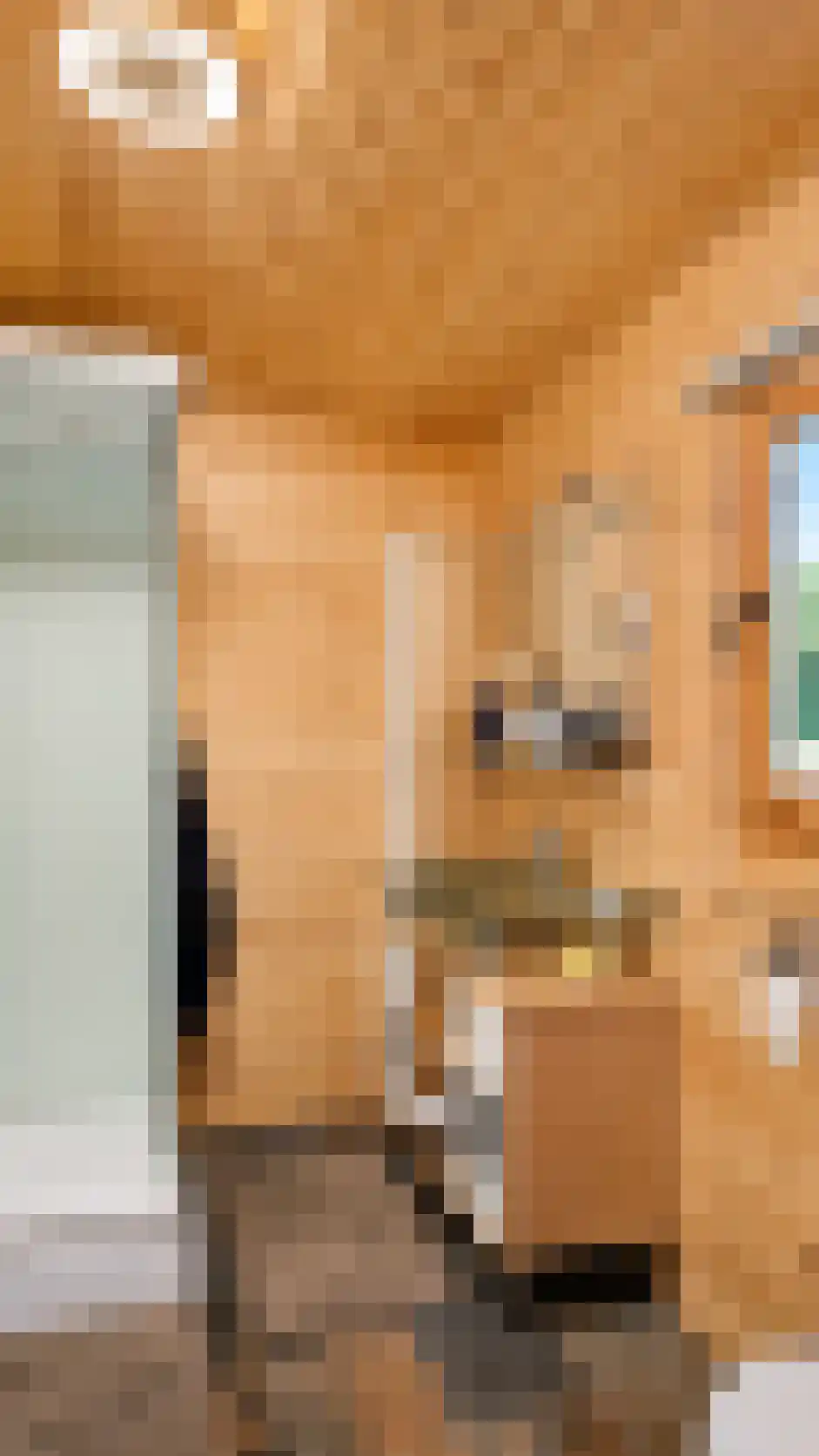 de Oliepot 7 11 Rucphen thumbnail 22