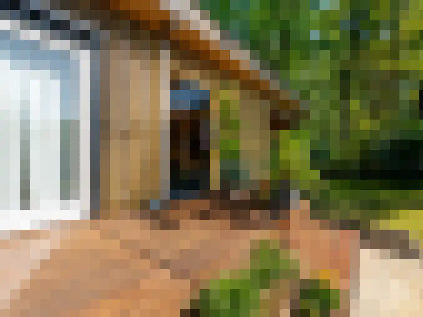 de Oliepot 7 11 Rucphen thumbnail 27