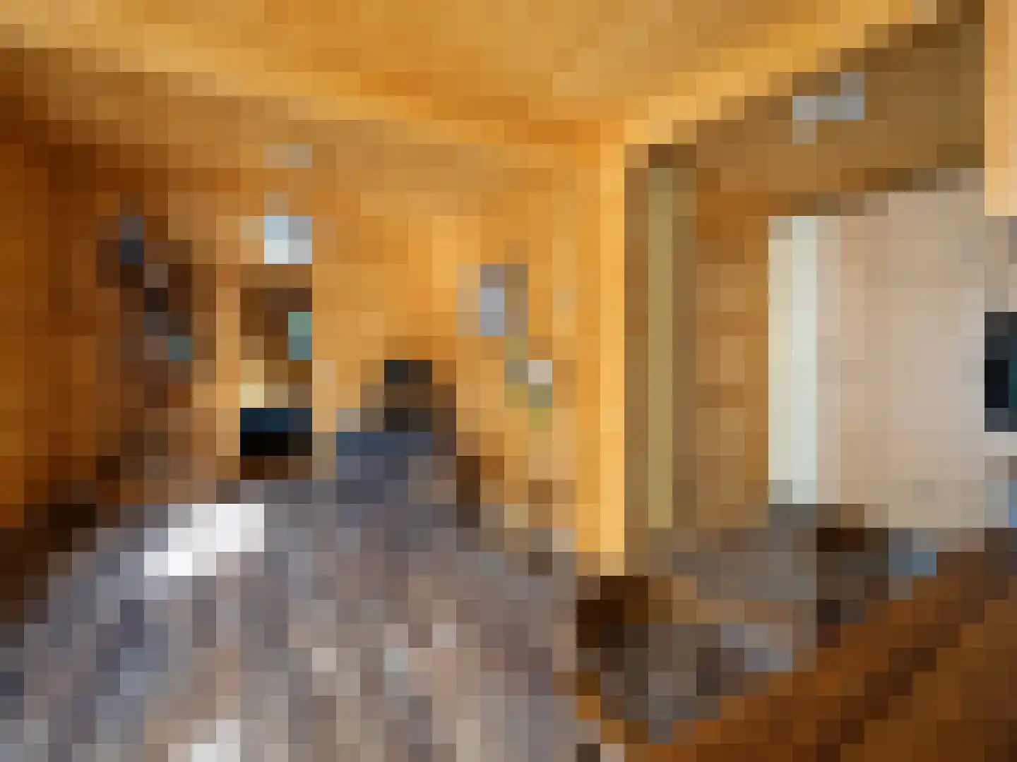 de Oliepot 7 11 Rucphen thumbnail 5