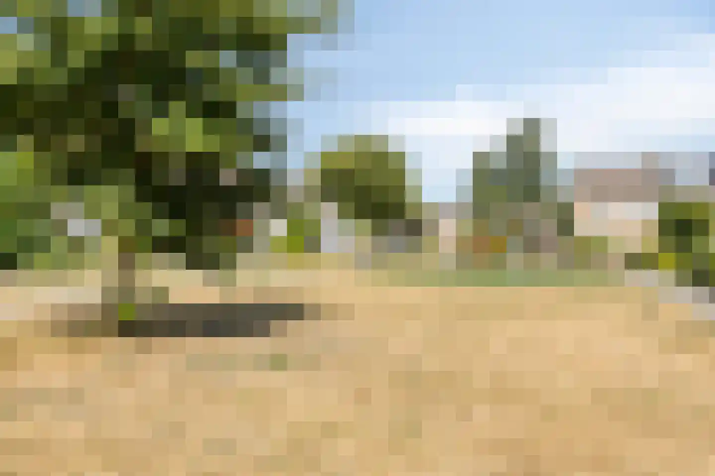 De Olieslager 47 Veldhoven thumbnail 36