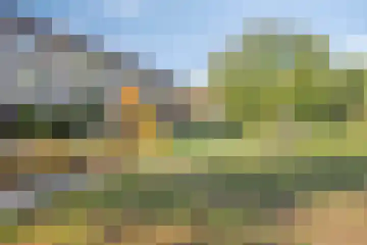 De Olieslager 56 Veldhoven thumbnail 41