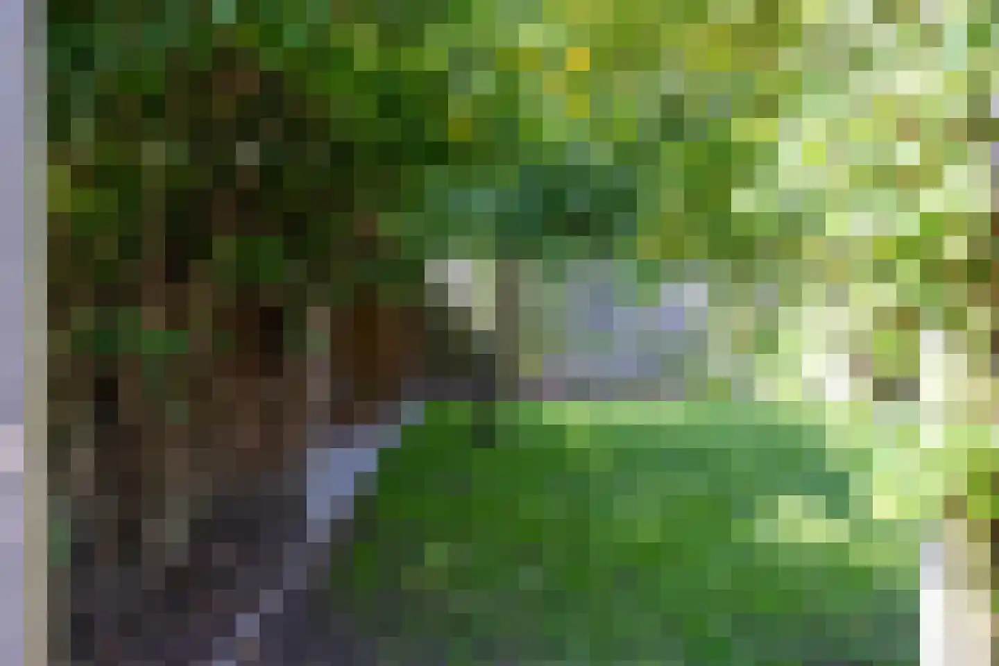 De Olieslager 63 Veldhoven thumbnail 42