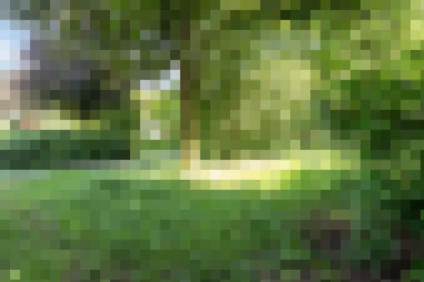 De Olieslager 63 Veldhoven thumbnail 50