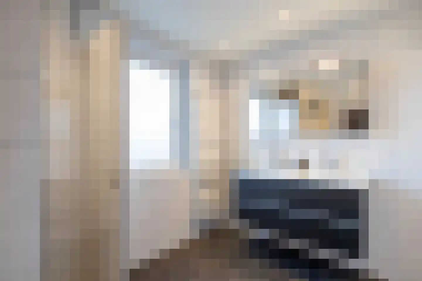 De Olijflijster 3 Almelo thumbnail 20