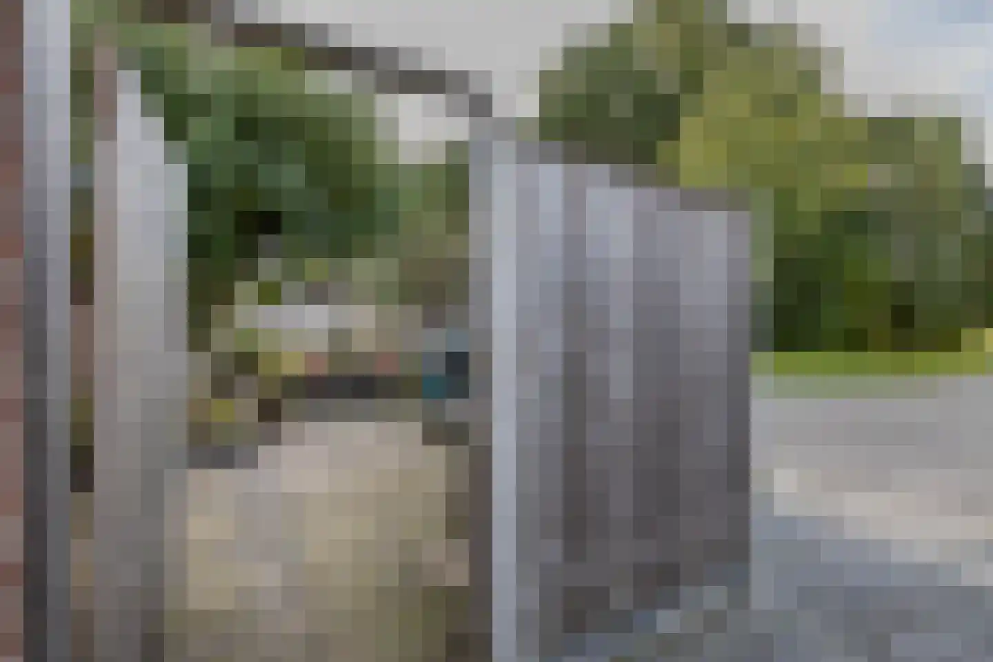 De Olijflijster 3 Almelo thumbnail 29