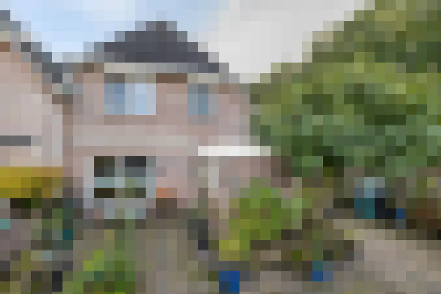De Olijflijster 3 Almelo foto 3