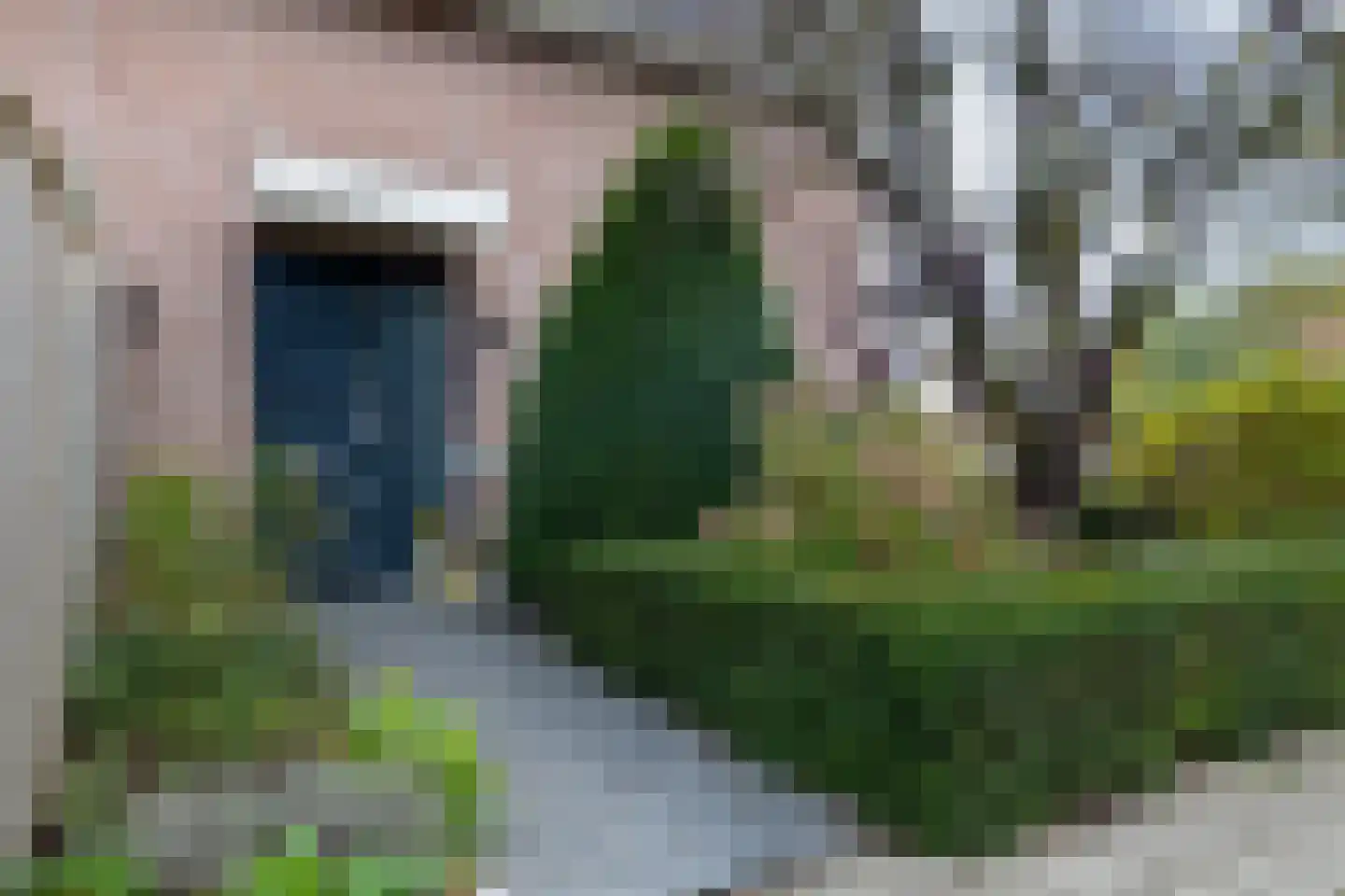 De Olijflijster 3 Almelo thumbnail 31