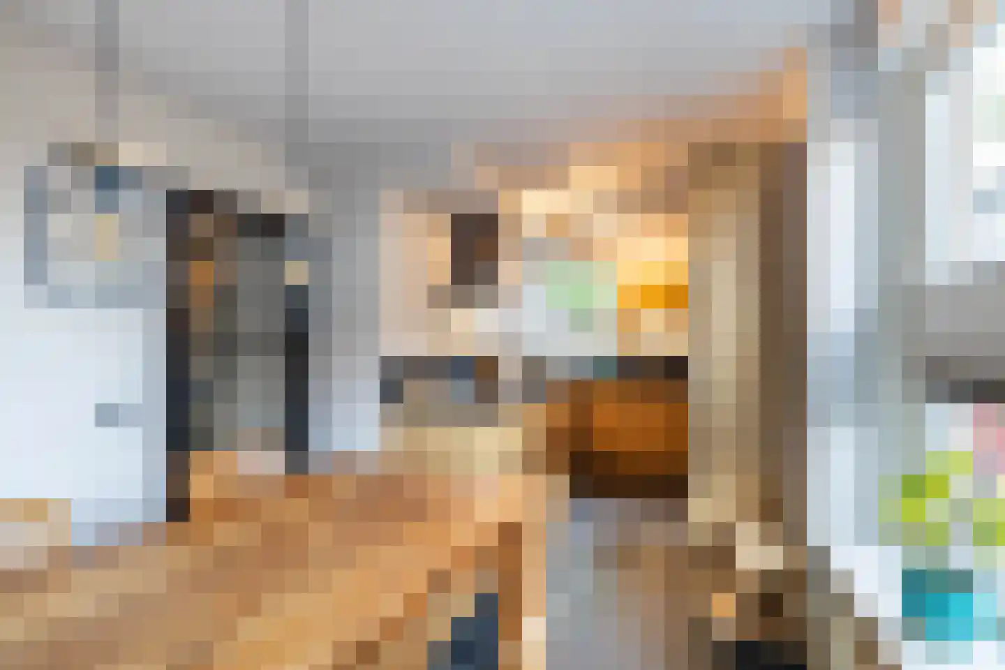 De Olijflijster 3 Almelo thumbnail 5