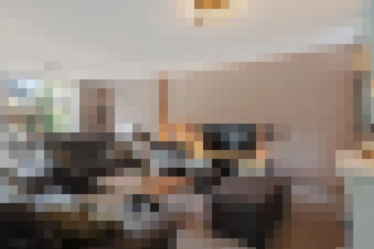 de Olmen 16 Bergschenhoek thumbnail 15