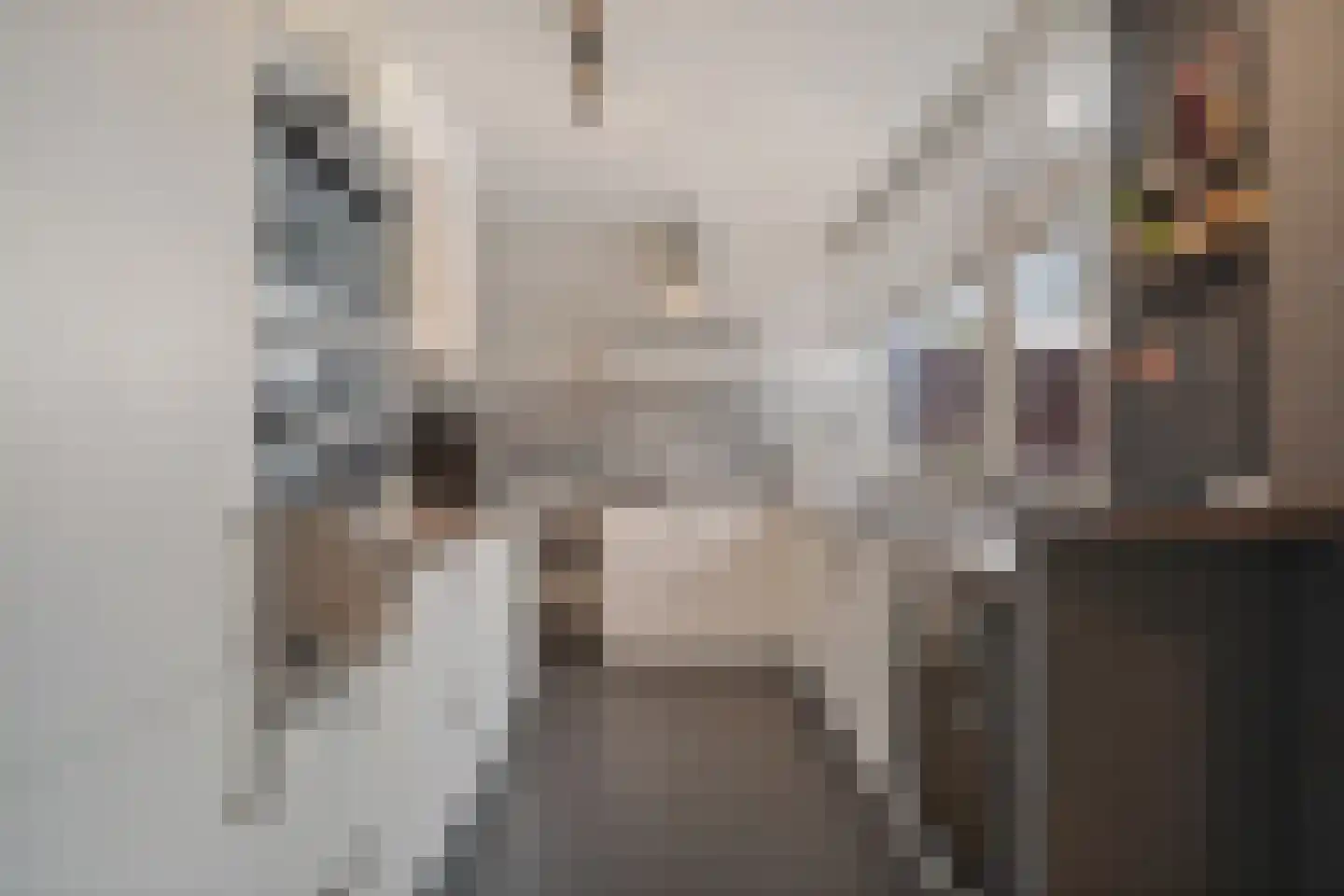 de Olmen 16 Bergschenhoek thumbnail 20