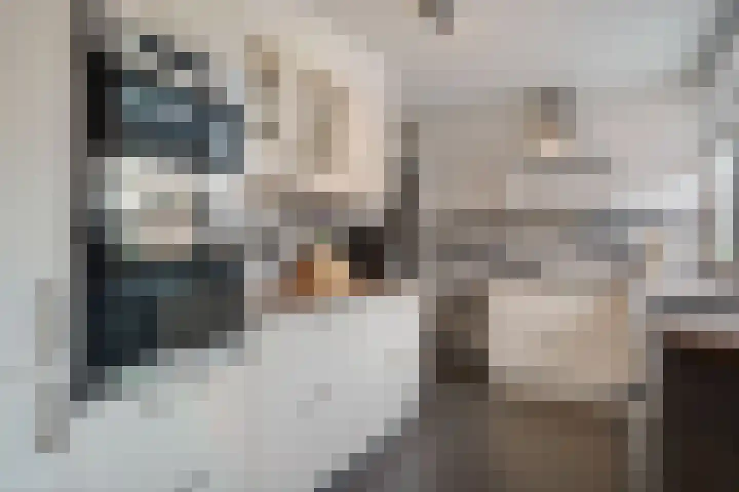 de Olmen 16 Bergschenhoek thumbnail 21