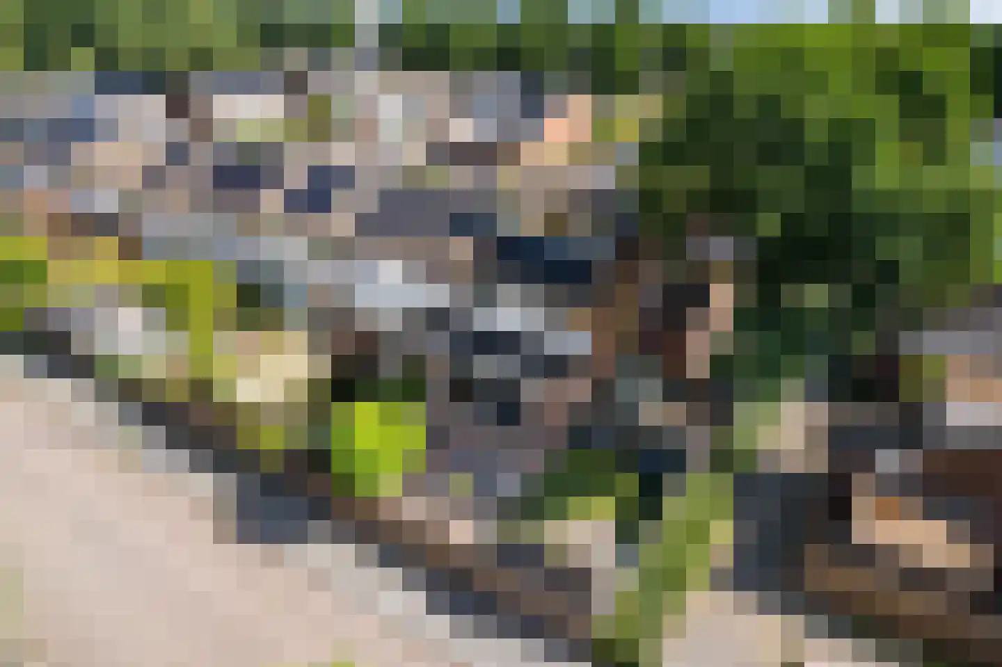 de Olmen 16 Bergschenhoek thumbnail 30