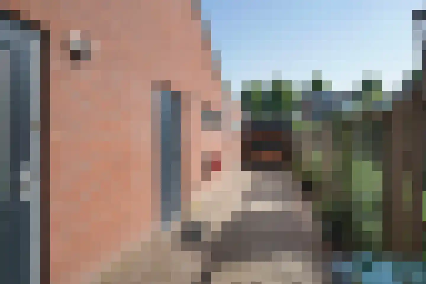 de Olmen 16 Bergschenhoek thumbnail 38