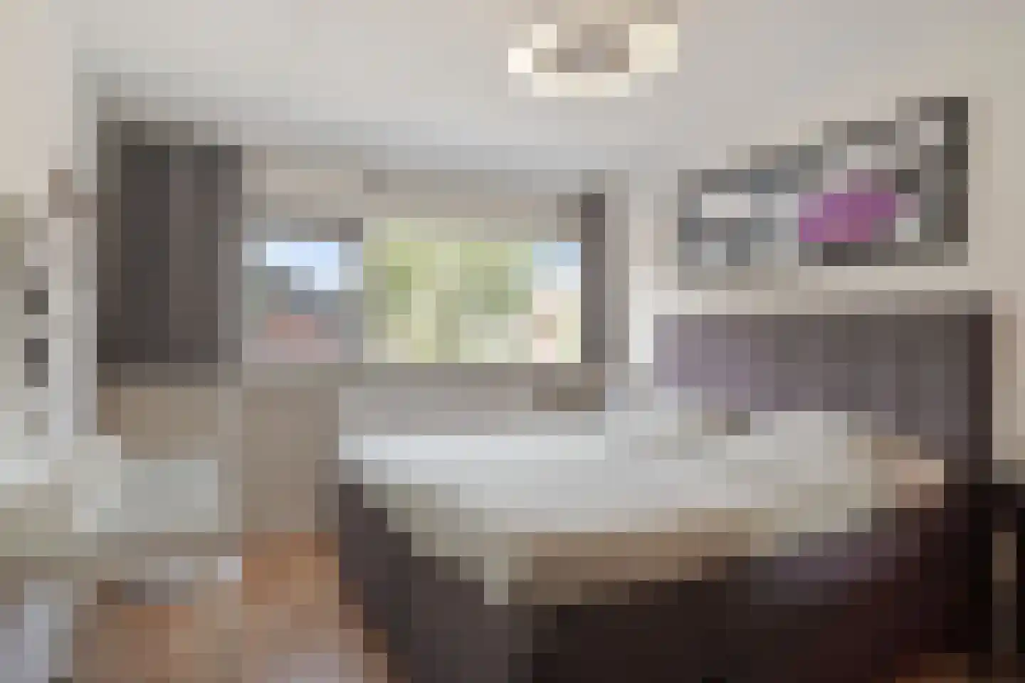 de Olmen 16 Bergschenhoek thumbnail 41