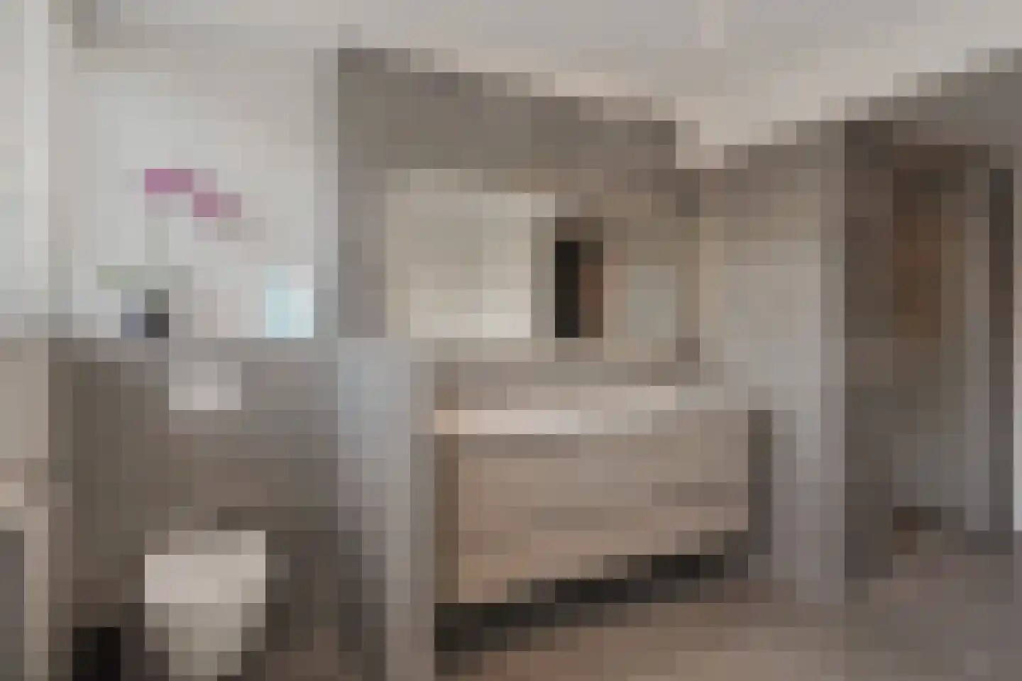 de Olmen 16 Bergschenhoek thumbnail 44