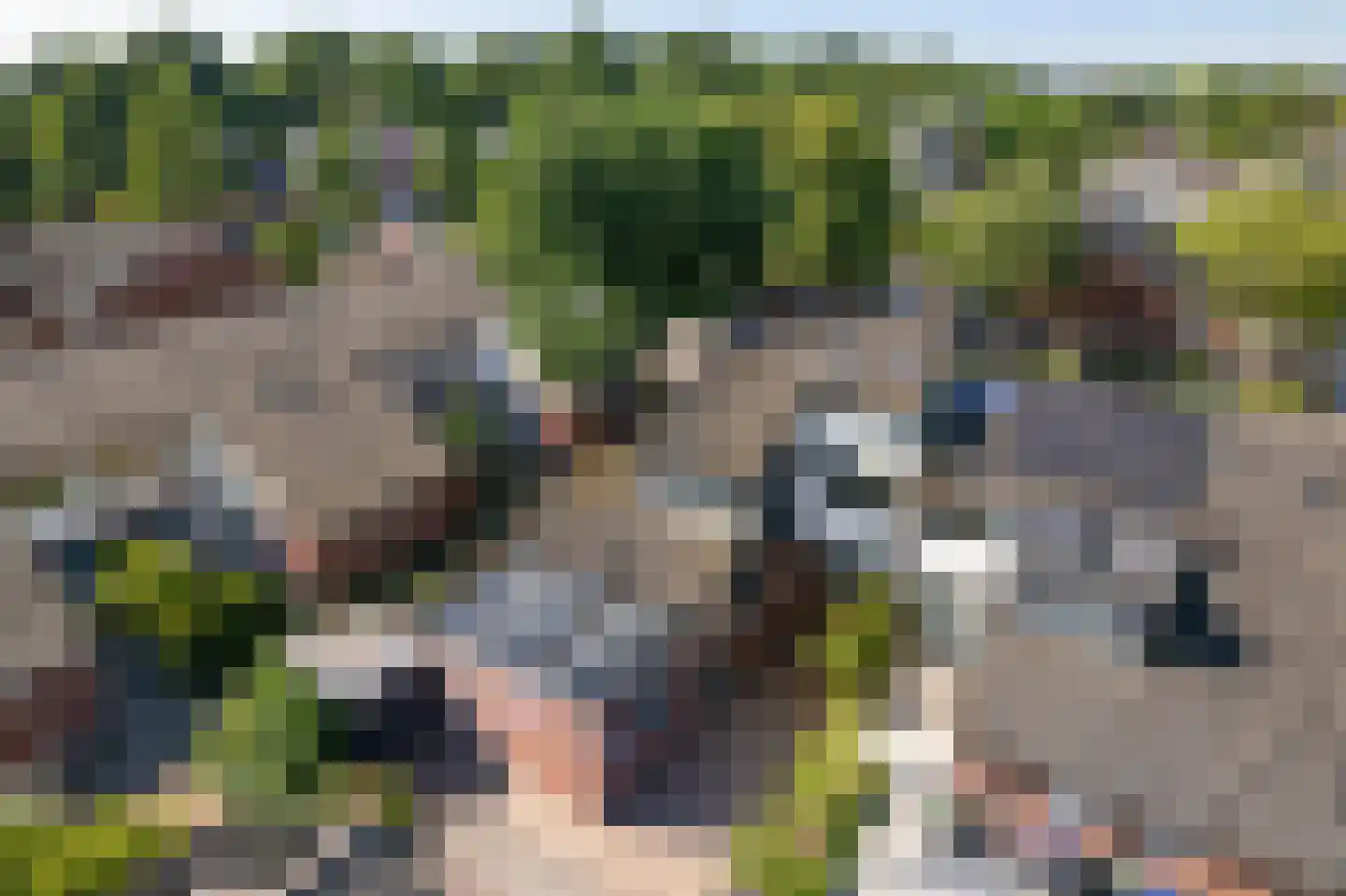 de Olmen 16 Bergschenhoek thumbnail 5