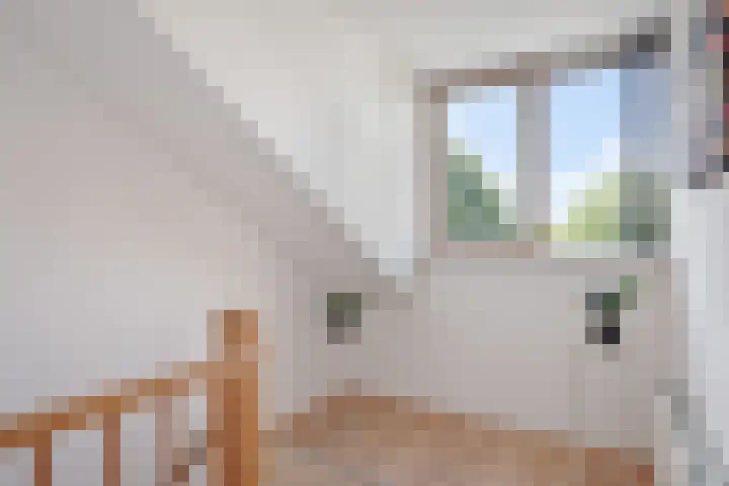 de Olmen 16 Bergschenhoek thumbnail 54