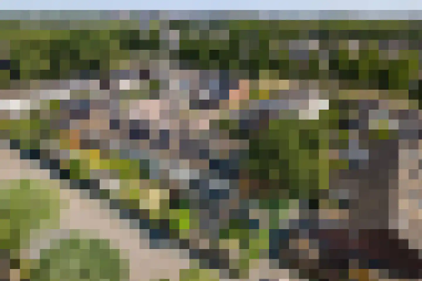 de Olmen 16 Bergschenhoek thumbnail 60