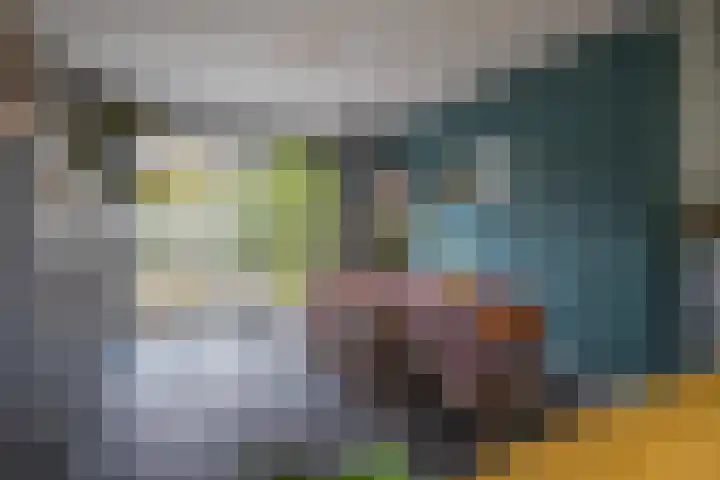 De Olmen 2 Zevenaar thumbnail 10