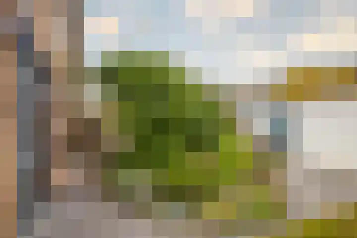 De Olmen 2 Zevenaar thumbnail 15
