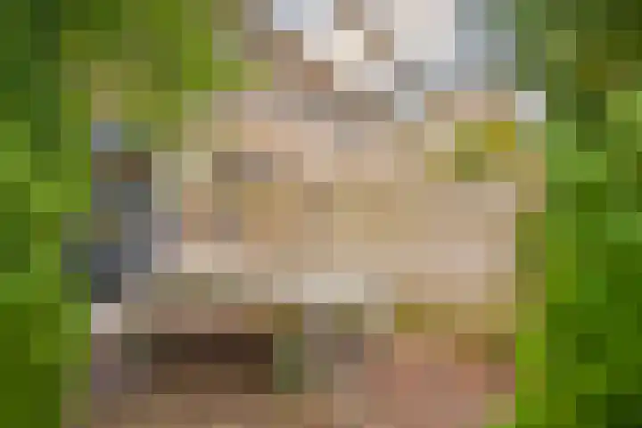 De Olmen 2 Zevenaar thumbnail 18
