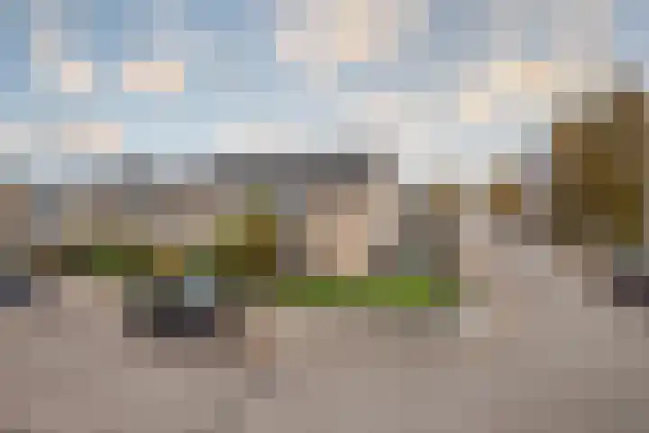 De Olmen 2 Zevenaar thumbnail 30