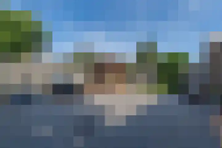 De Olmen 26 Zevenaar thumbnail 15