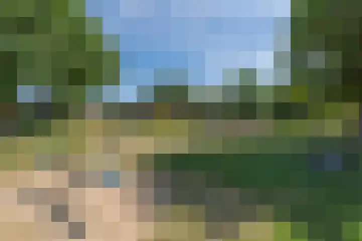 De Olmen 26 Zevenaar thumbnail 16