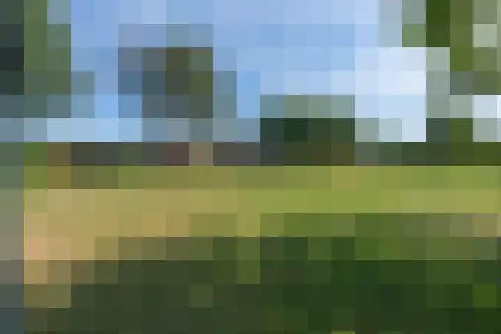 De Olmen 26 Zevenaar thumbnail 28