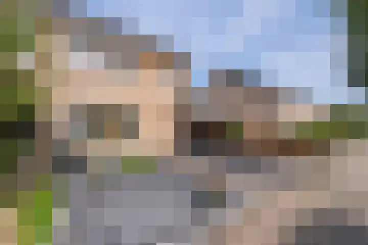 De Olmen 26 Zevenaar thumbnail 29