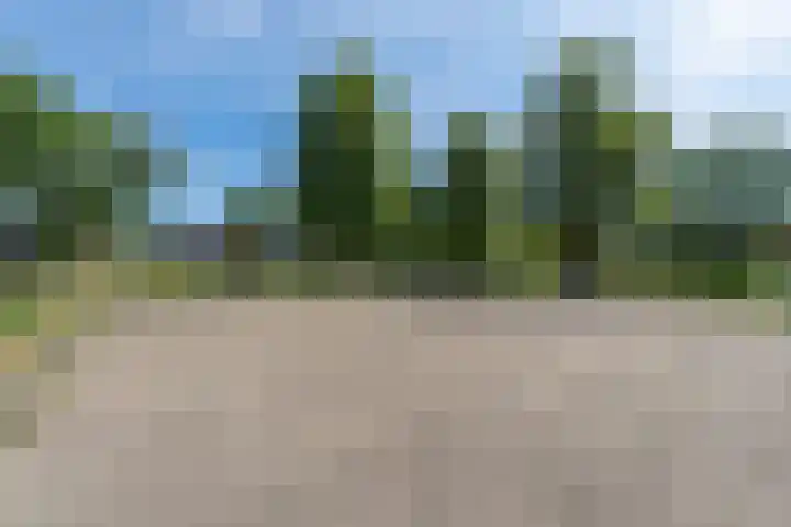 De Olmen 26 Zevenaar thumbnail 31