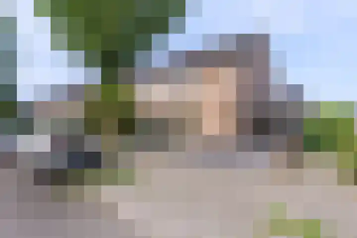 De Olmen 26 Zevenaar thumbnail 32