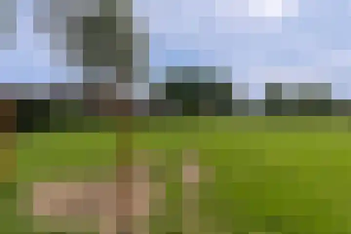De Olmen 26 Zevenaar thumbnail 33