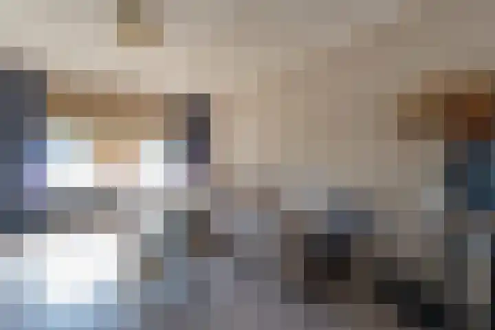 De Olmen 26 Zevenaar thumbnail 8