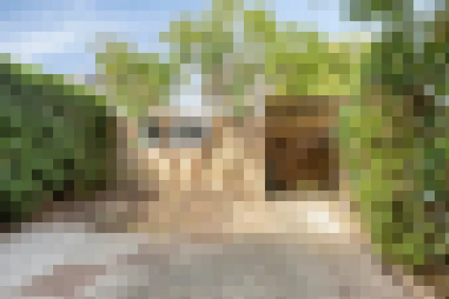 De Olmen 28 Zevenaar thumbnail 17
