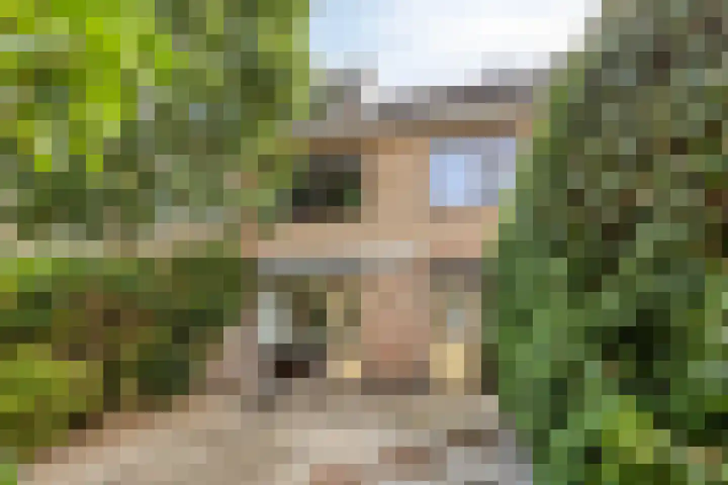 De Olmen 28 Zevenaar thumbnail 19