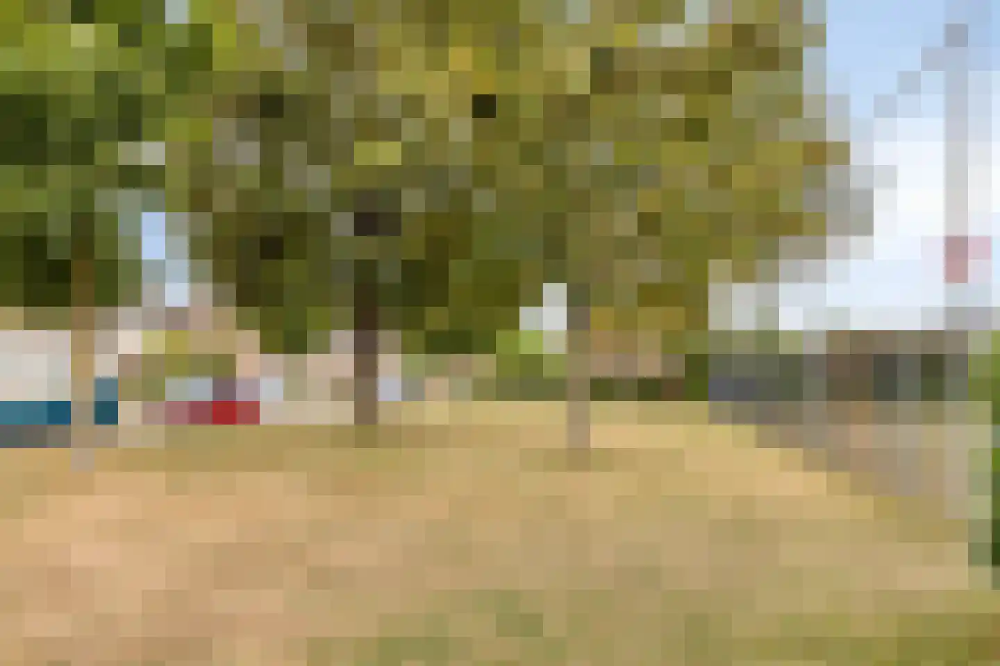 De Olmen 28 Zevenaar thumbnail 20