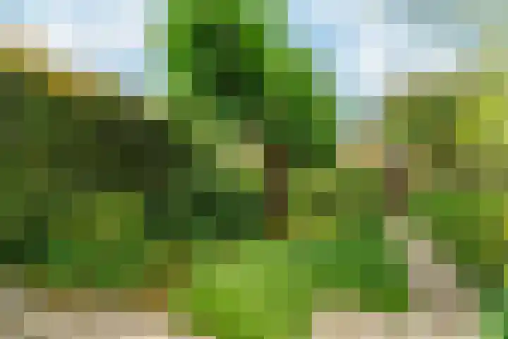 De Olmen 4 Zevenaar thumbnail 20
