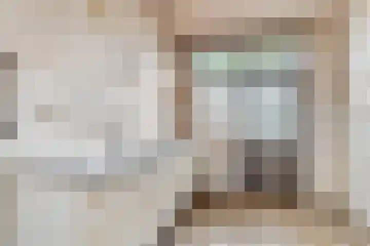De Olmen 4 Zevenaar thumbnail 5