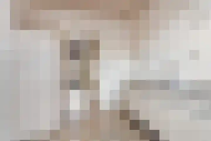 De Olmen 4 Zevenaar thumbnail 6