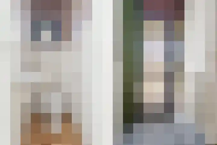 De Olmen 4 Zevenaar thumbnail 8