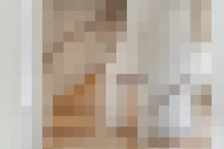 De Olmen 4 Zevenaar thumbnail 9