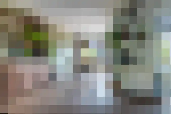 De Olmen 69 Zevenaar thumbnail 10