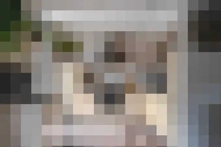 De Olmen 69 Zevenaar thumbnail 13